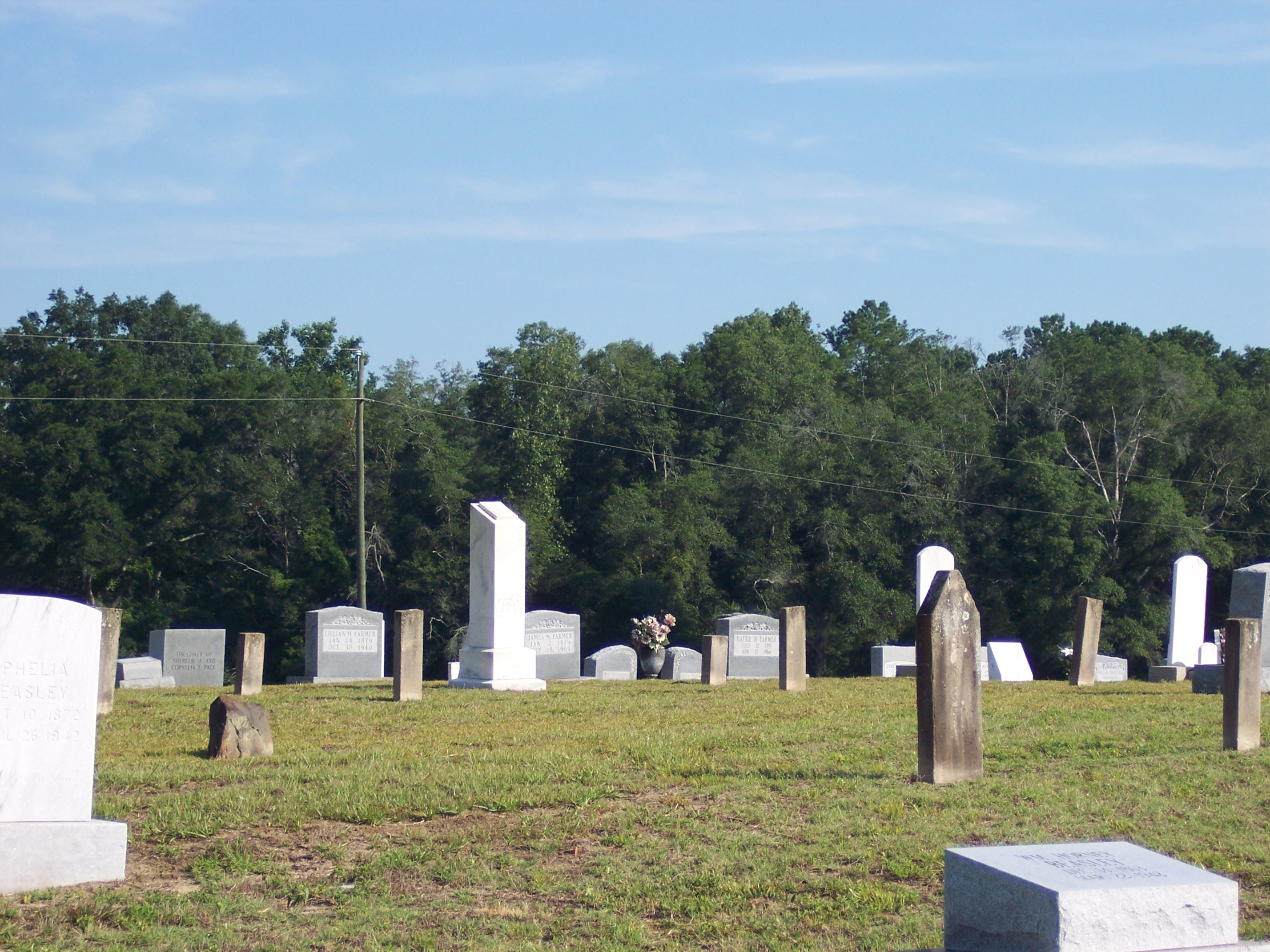 Lowe Cemetery Copiah County, MS