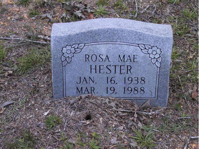 Rosa Mae Hester HS