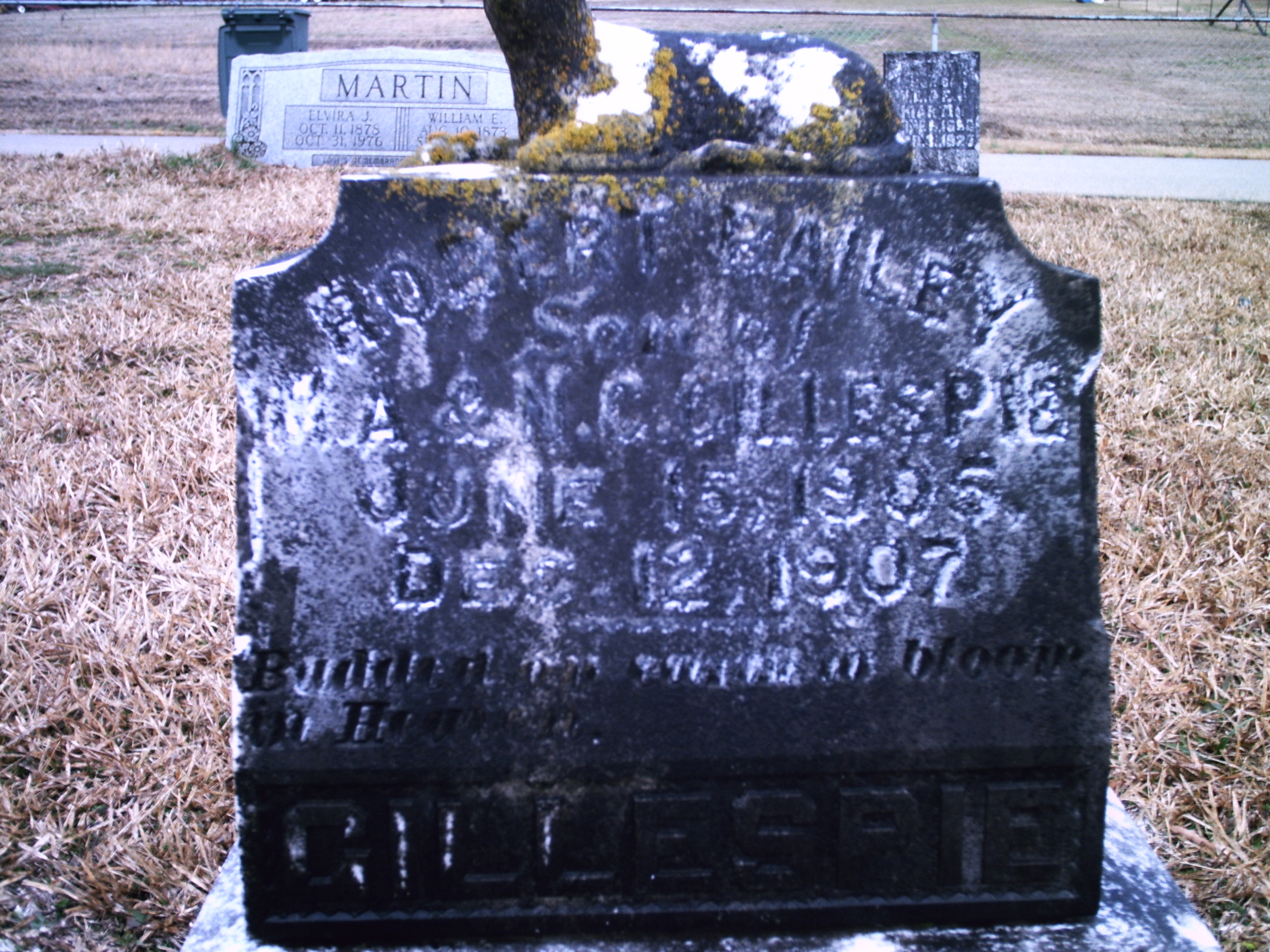 Photo of Robert Bailey Gillespie’s Tombstone