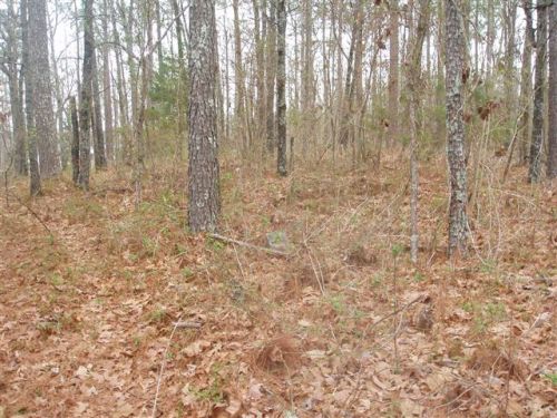 Westly Chapel Cemetery photo