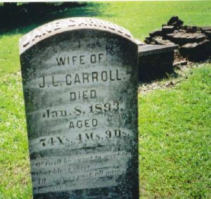 Jane Carroll marker