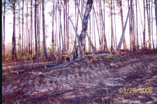 Shiloh Cemetery