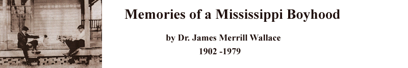 JM Wallace Memories of a Mississippi Boyhood