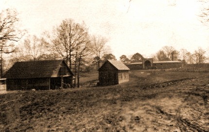 polo
                barn