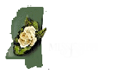 Visit USGenWeb Archives