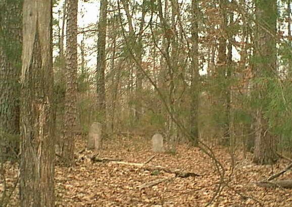 View of Old Antioch Methodist Cemetery from the southside.