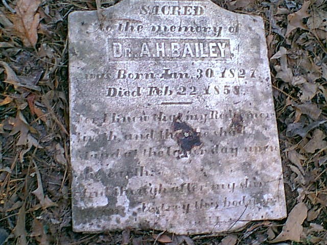 A. H. Bailey