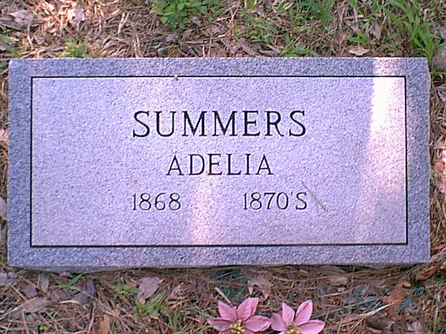 Summer Cemetery