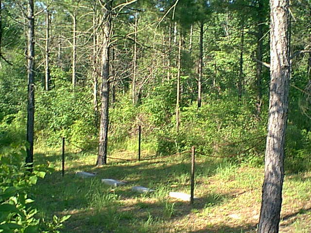 Summer Cemetery