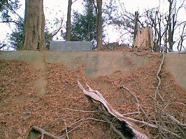 Three Thornton Graves located next to the highway in Calhoun County, MS.