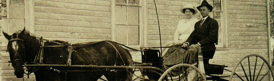 Horse Drawn Carriage