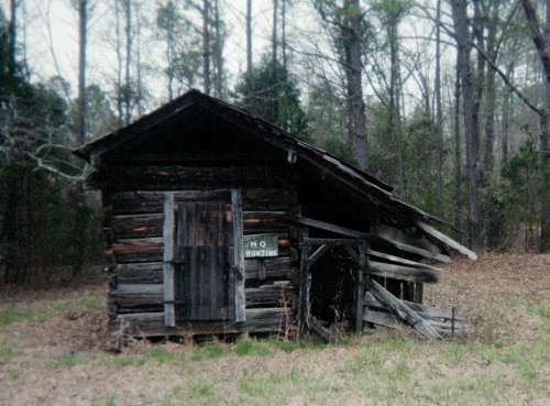 Photo of remainder of Walton Harris log cabin