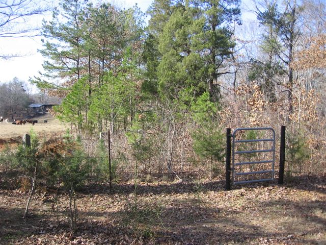 Moore Cemetery Entrance