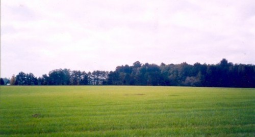 Farmland