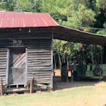 Sciple's Mill