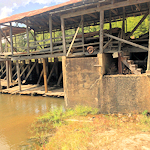 Sciple's Mill