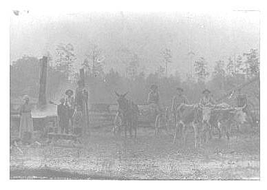 Unknown Photograph submitted by William Massey
