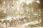 Thumbnail of Tatum Lumber Company #4