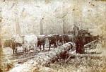 Thumbnail of TatumLumber Company #5