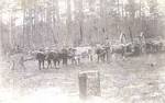 Thumbnail of Tatum Lumber Company #6