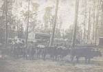 Thumbnail for Tatum Lumber Company #9